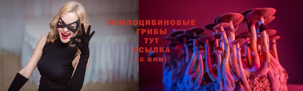 jwh Няндома