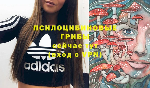 jwh Няндома