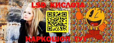 прущие грибы Бийск