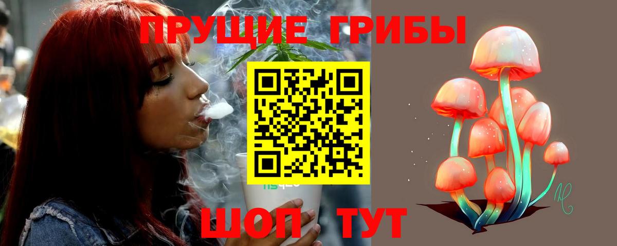 Псилоцибиновые грибы ЛСД Краснотурьинск